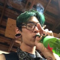 trevor wasabi