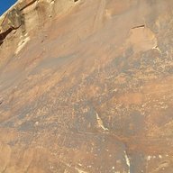 Desert Rose