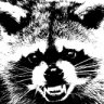 skunkpit