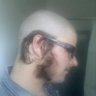 whaleofashrimp