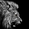 Everymanalion