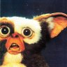 Gizmo