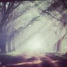 stilleclipse