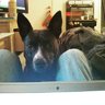Writer Tilly