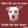 Dirtdog84