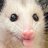 Opossum
