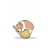 Possum