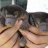 duckbilledplatypus