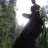 Margin Walker