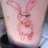 dianabunny