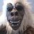 Mysterious Yeti