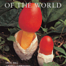 Edible and Poisonous Mushrooms of the World