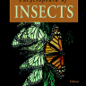 Encyclopedia of Insects